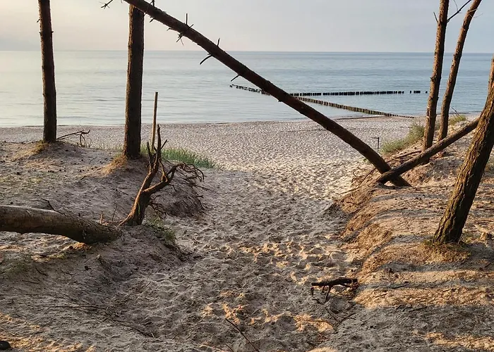 Black Pearl Basen Sauna Jacuzzi *